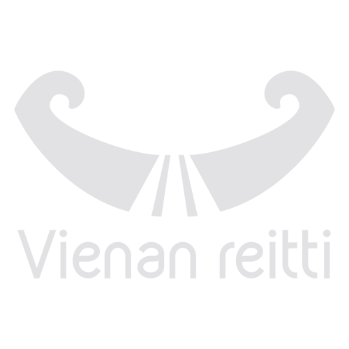 vienan-reitti-logo