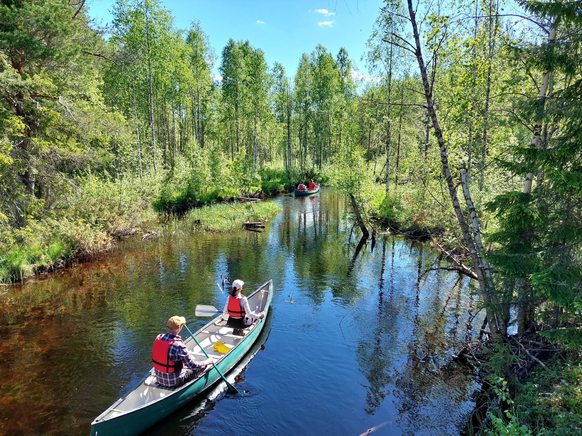Vesireitit