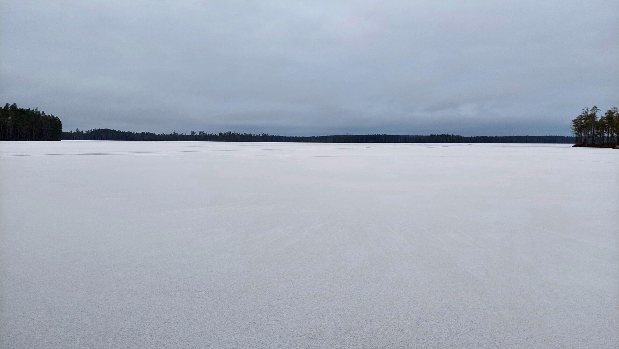 Lausunto Saunakankaan suunniteltuihin väljennyshakkuisiin