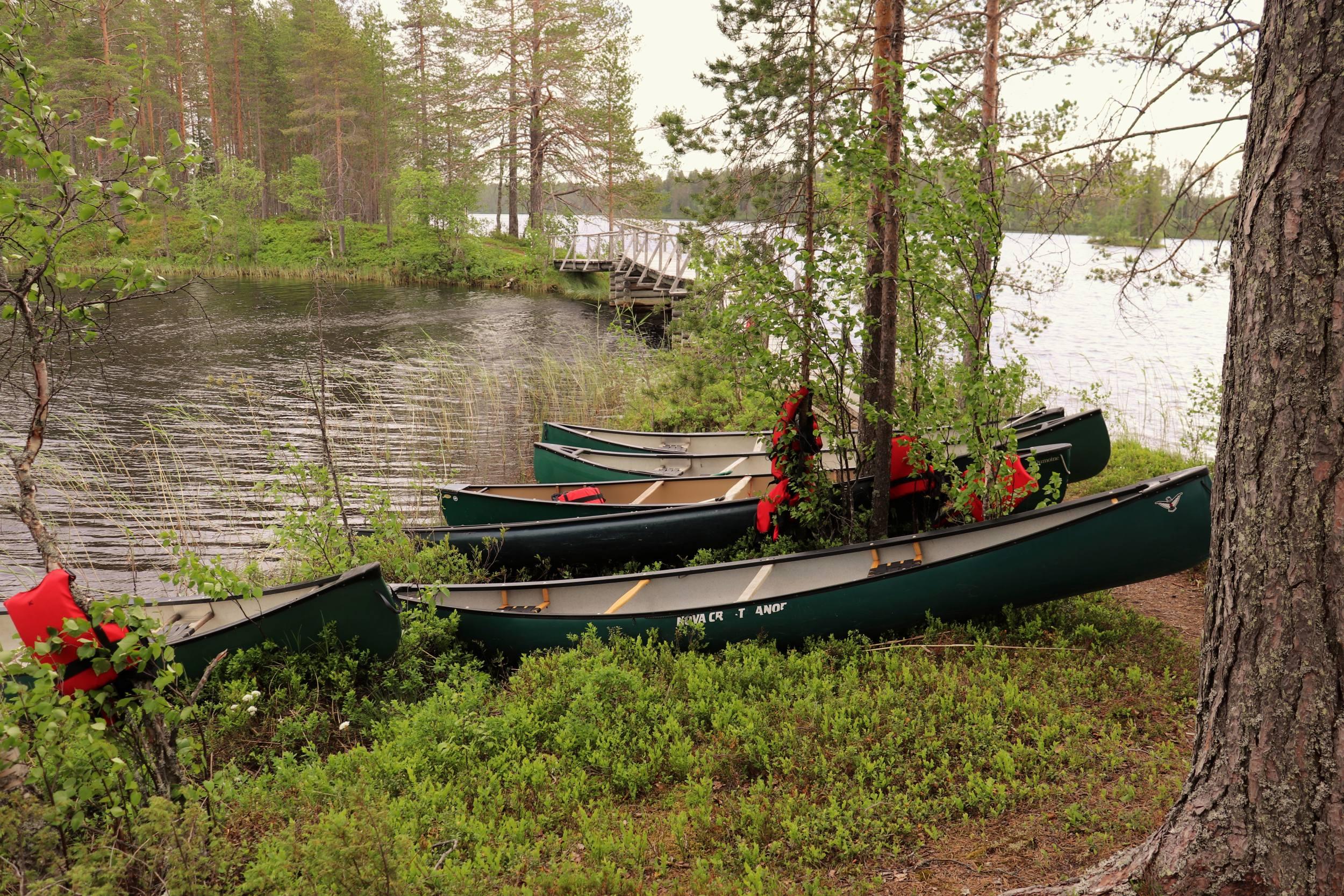 Rentukkamelontaa Aittojärvellä