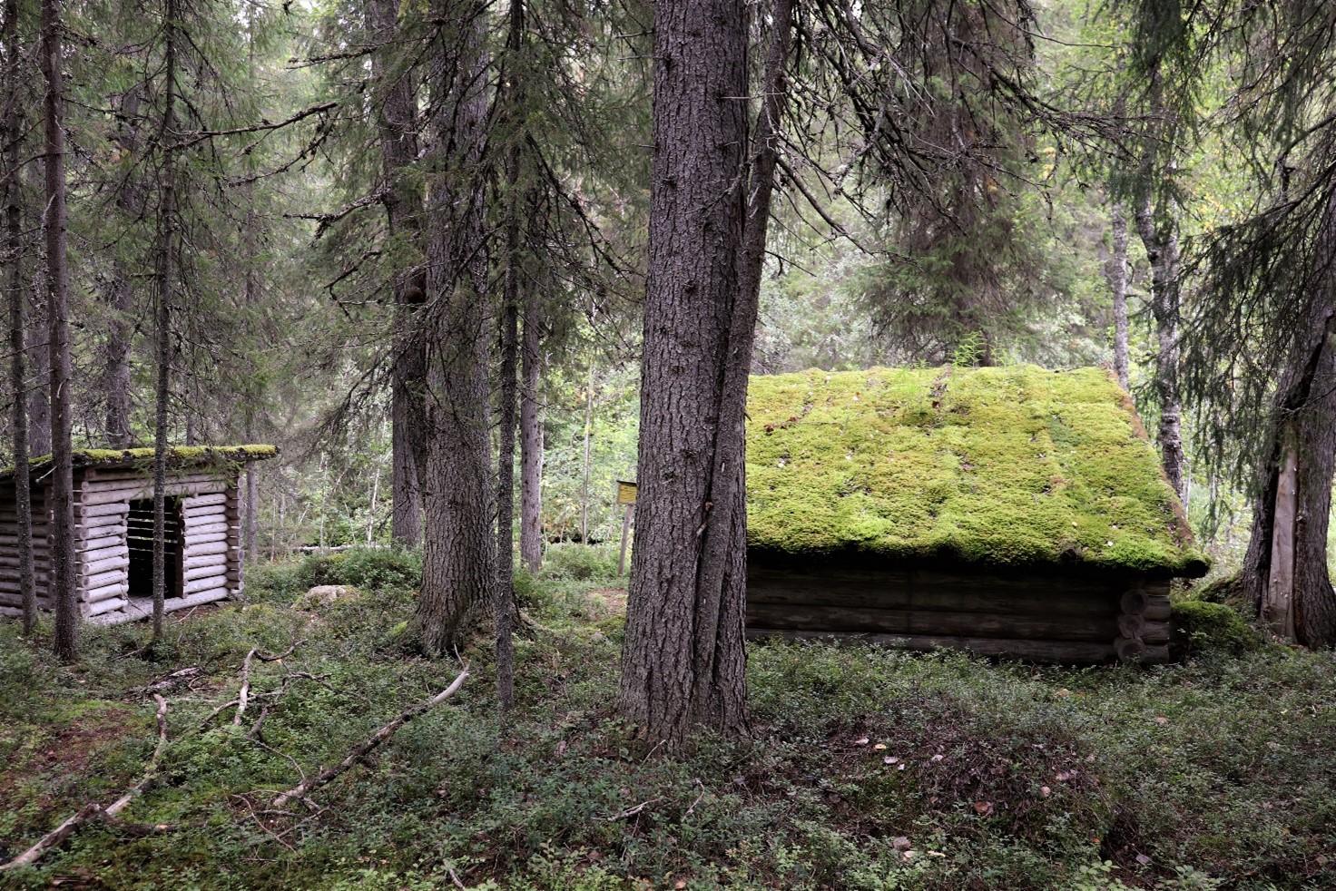 Murhisalon Natura-alue