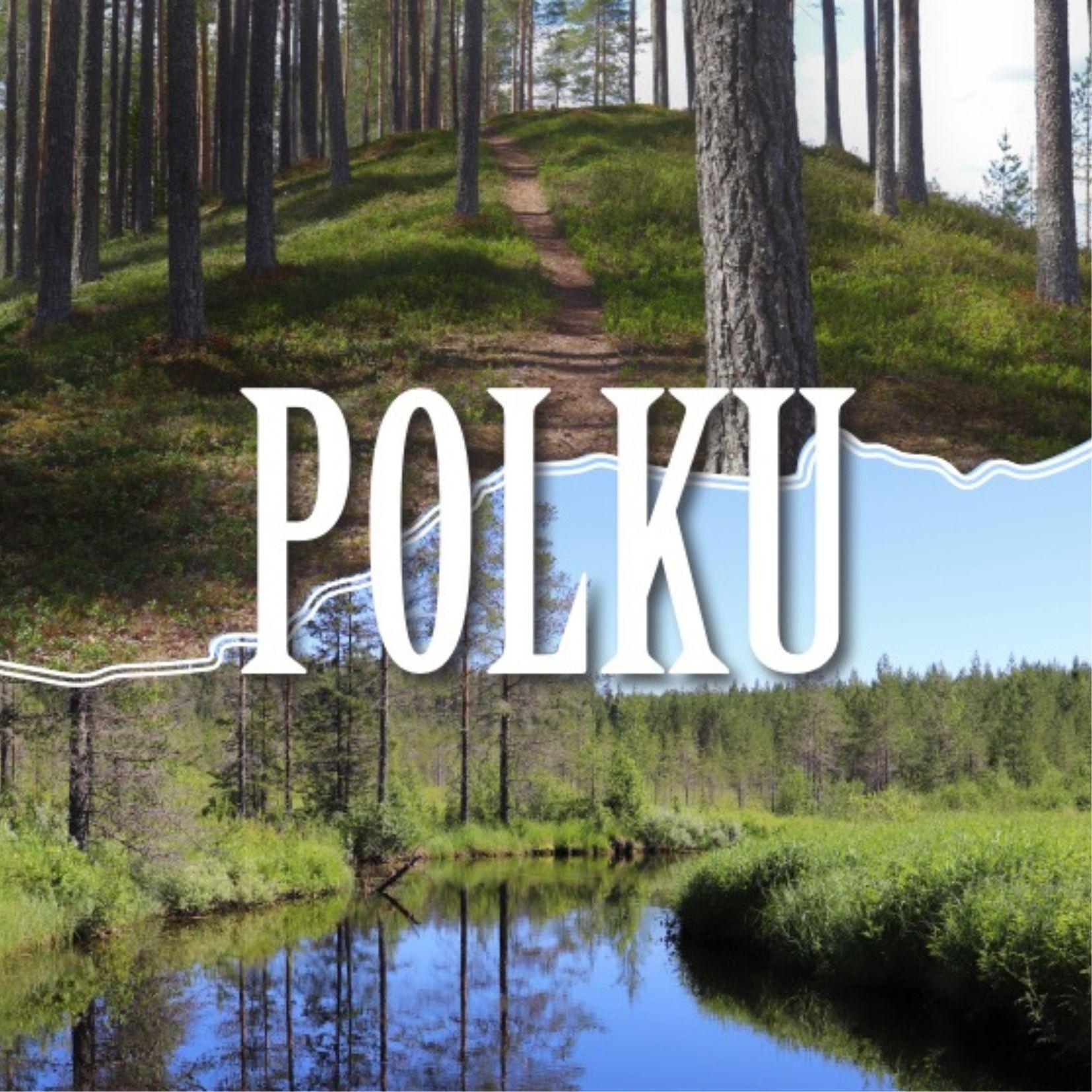 Polku. Kulttuuria ja historiaa Vienan reitin varrelta. Kirjan julkaisu.