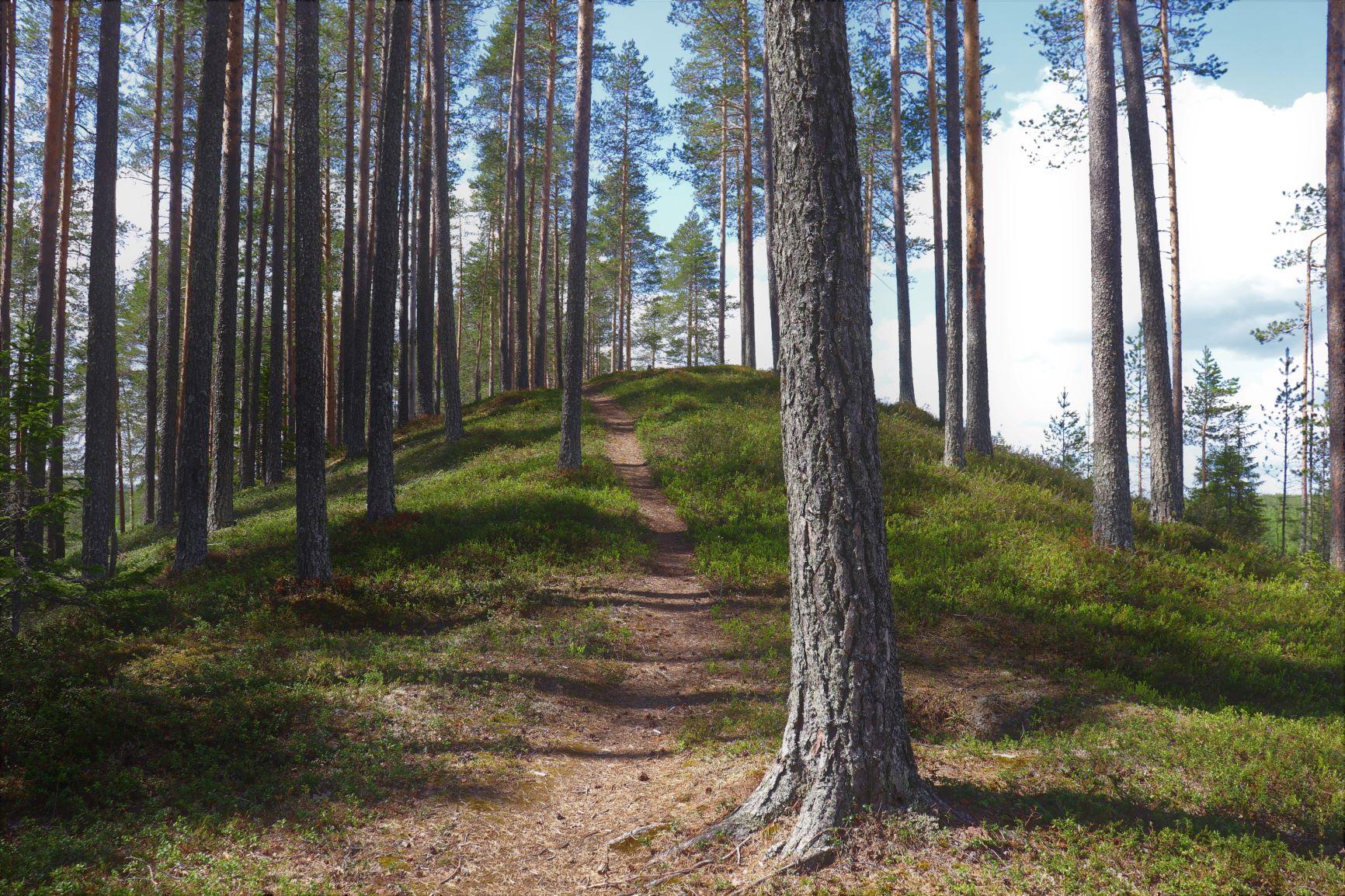 Lausunto Vienan reitin (Vuokin reitin) sisällyttämisestä valtakunnallisesti merkittävien arkeologisten kohteiden luetteloon (VARK)